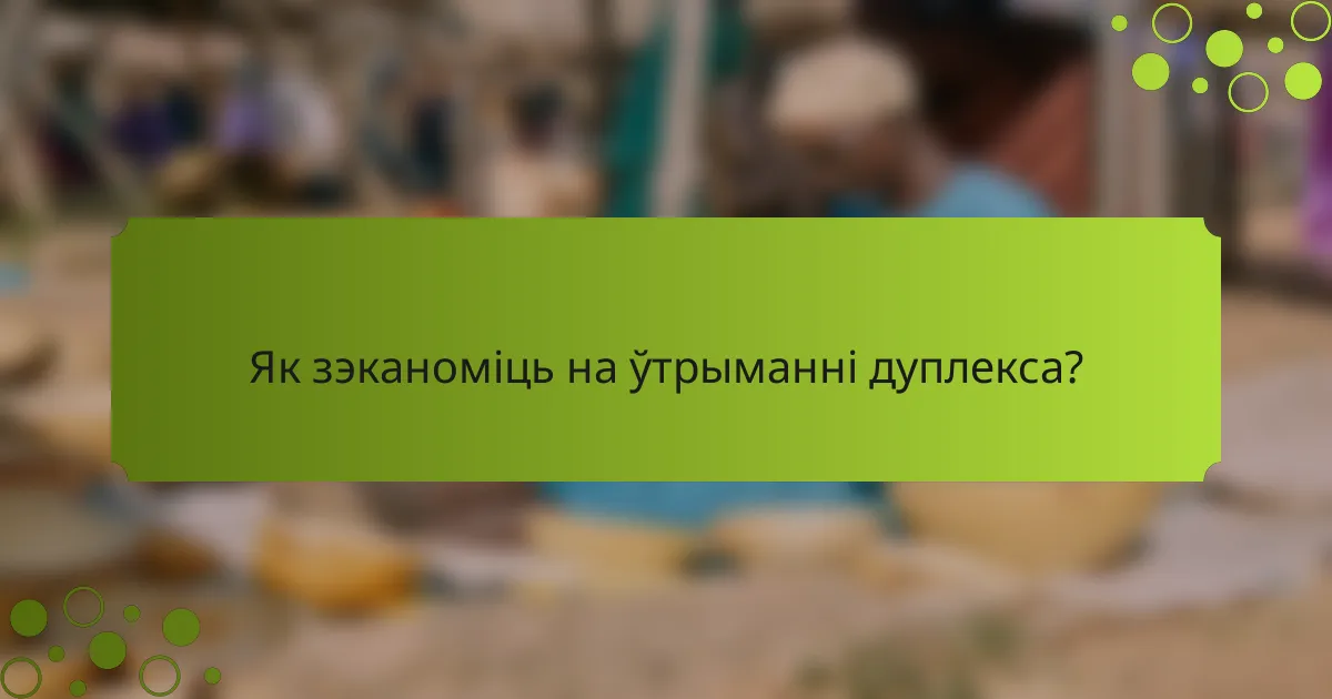 Як зэканоміць на ўтрыманні дуплекса?