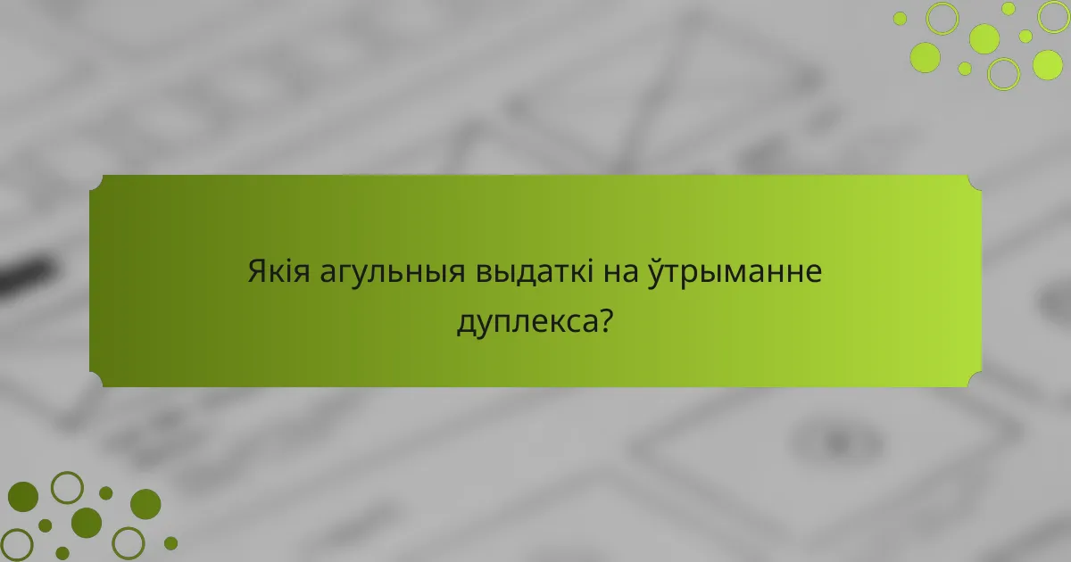 Якія агульныя выдаткі на ўтрыманне дуплекса?