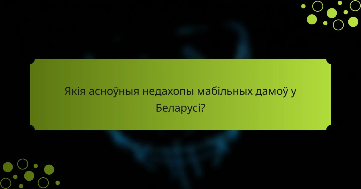 Якія асноўныя недахопы мабільных дамоў у Беларусі?