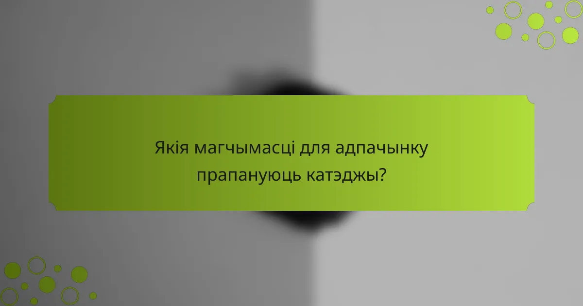 Якія магчымасці для адпачынку прапануюць катэджы?