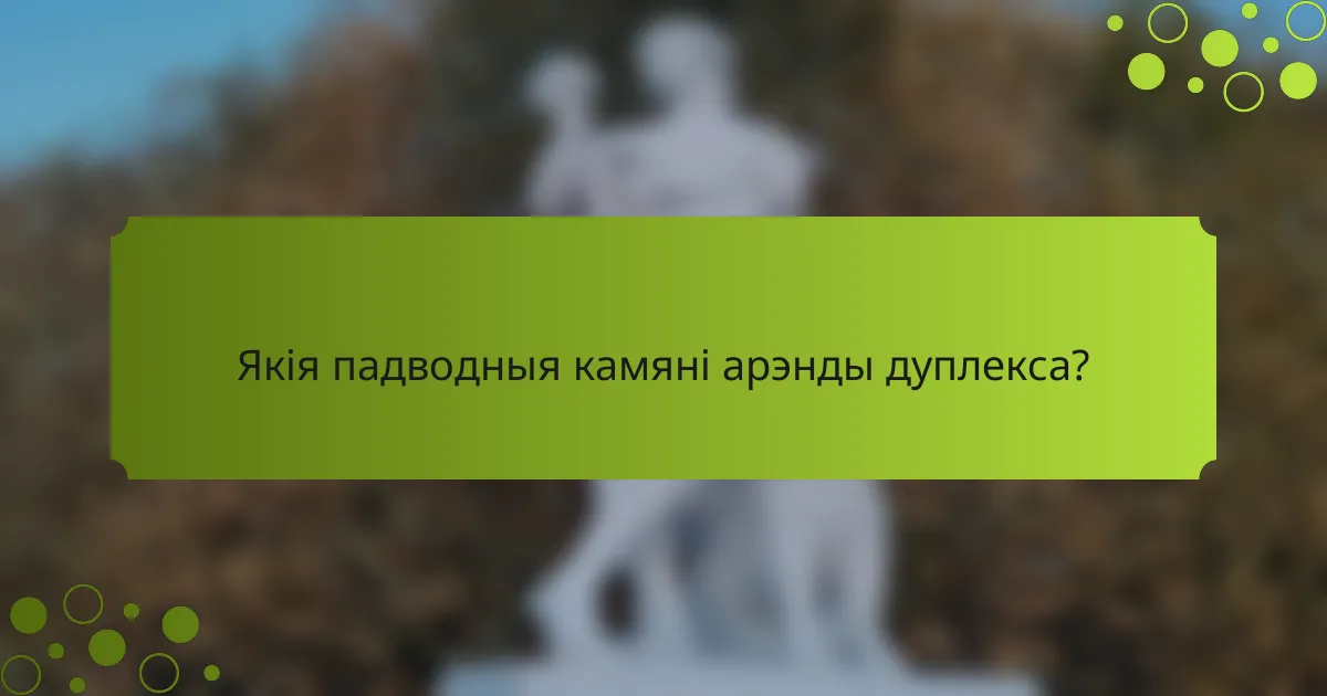 Якія падводныя камяні арэнды дуплекса?