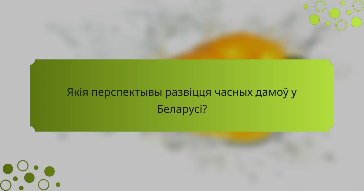Якія перспектывы развіцця часных дамоў у Беларусі?